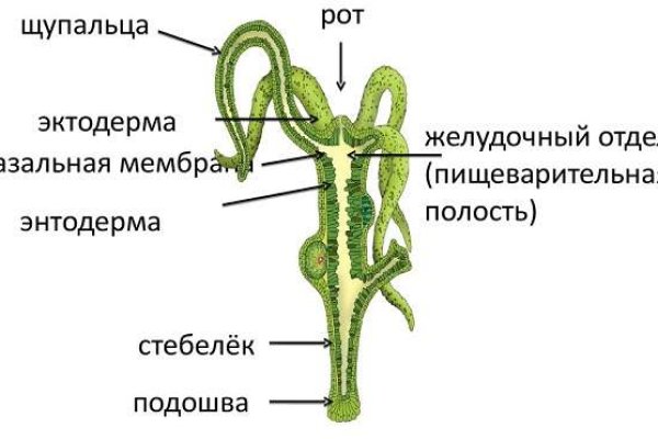 Кракен сайт kraken2