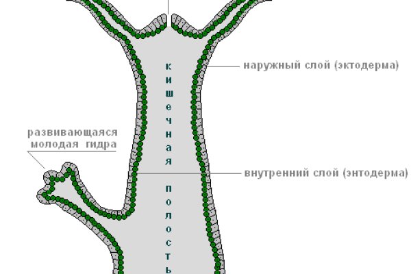 Сайт кракена в торе