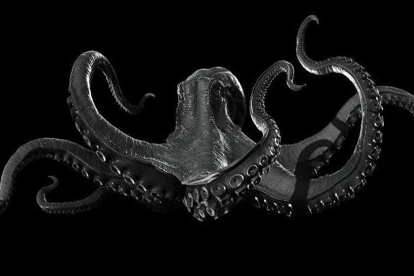 Kraken ссылка актуальная