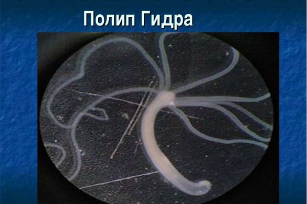 Сайты продаж наркотиков