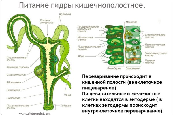 Кракен зеркало store