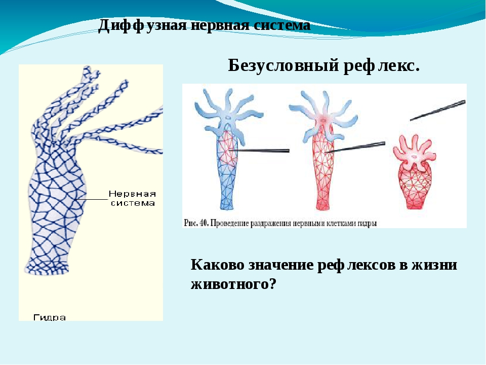 Кракен сайт сегодня