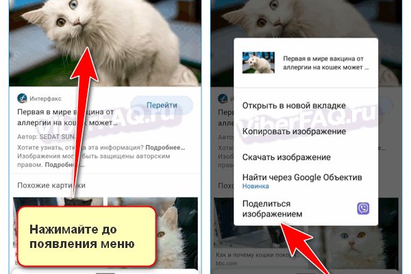 Кракен через тор