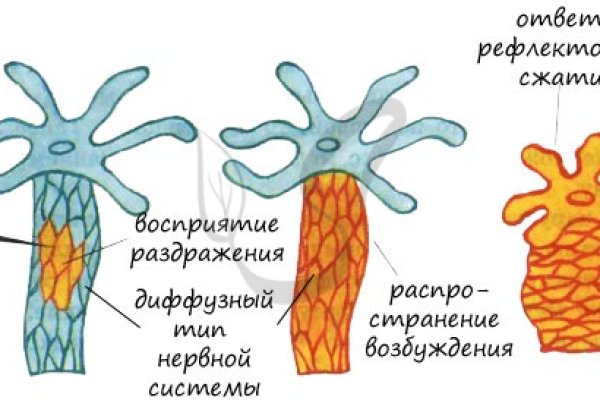 Что такое кракен сайт