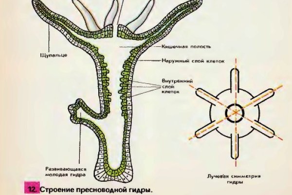 Кракен 2krnk