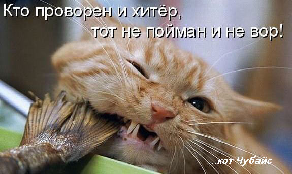 Ссылки на кракен зеркала