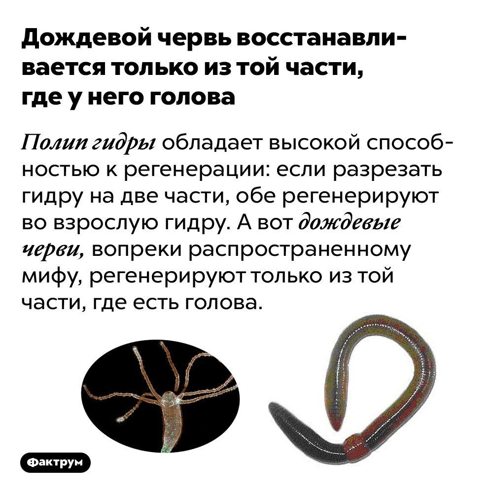 Открыть даркнет